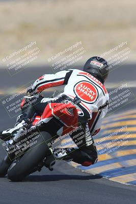 media/May-13-2023-SoCal Trackdays (Sat) [[8a473a8fd1]]/Turn 11 Backside (945am)/